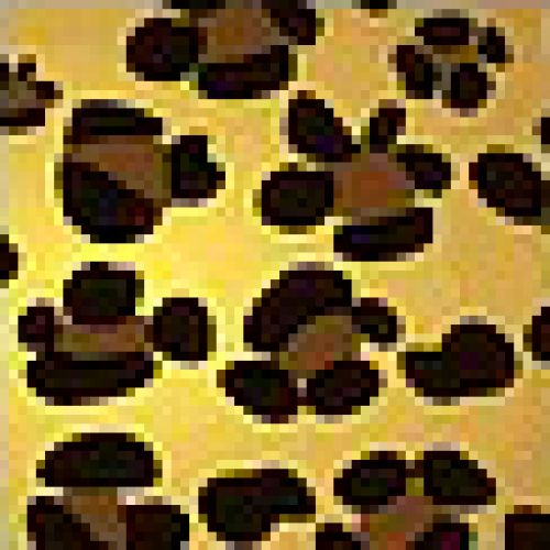 leopardo